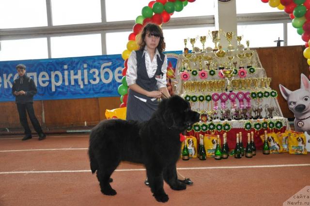 Фотография № 39473