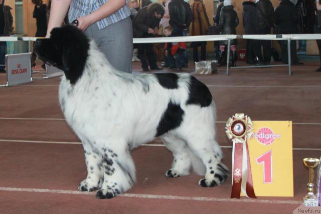 Фотография № 39499