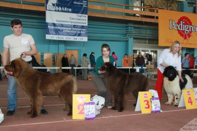 Фотография № 39500