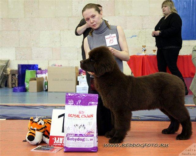 Фотография № 39549