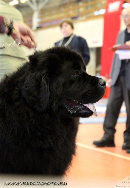 Фотография № 39553