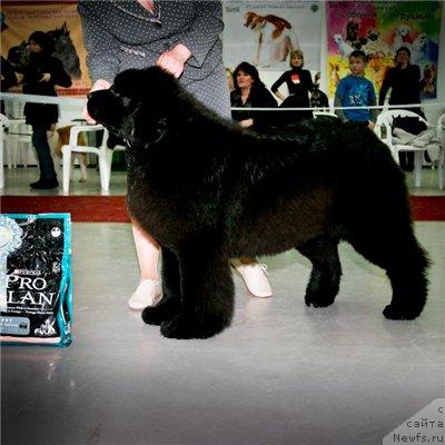 Фотография № 39626