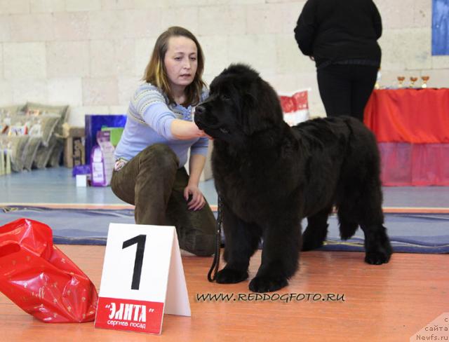 Фотография № 39632