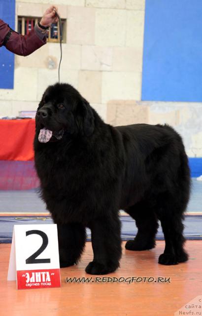 Фотография № 39634