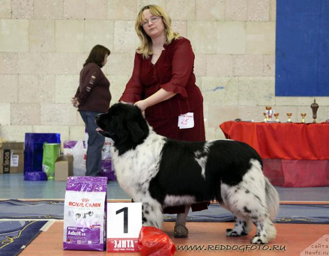 Фотография № 39643