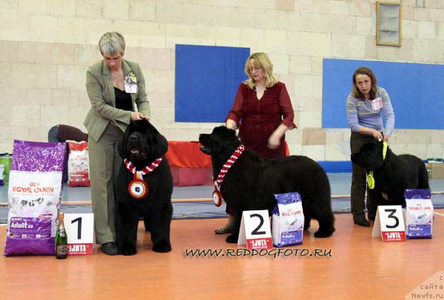 Фотография № 39645