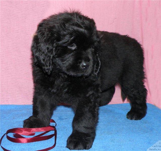 Фотография № 39671