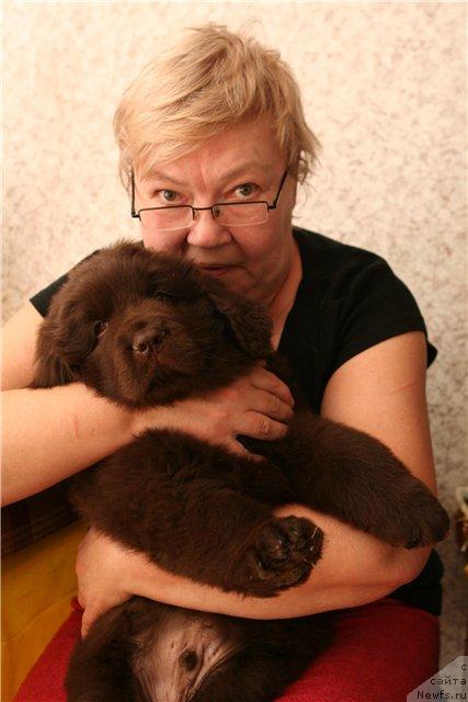 Фотография № 39697