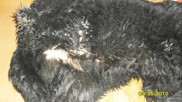 Фотография № 39731