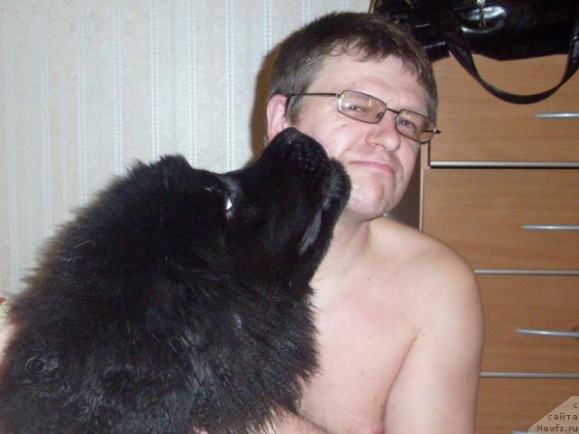 Фото: ньюфаундленд Бегущая по Волнам Ритм энд Блюз