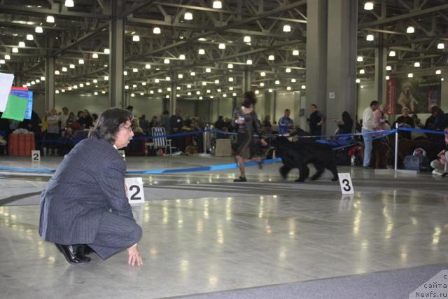 Фотография № 39795