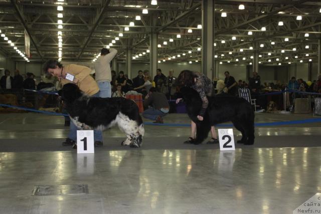 Фотография № 39797