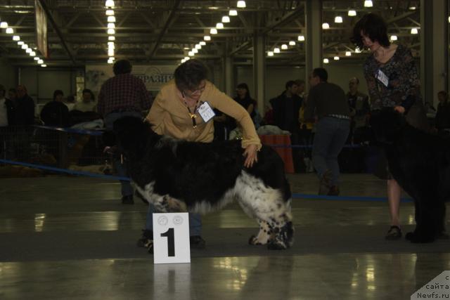 Фотография № 39798