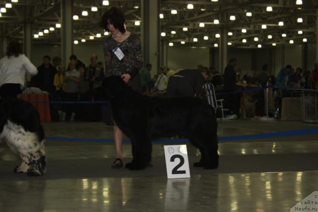 Фотография № 39799