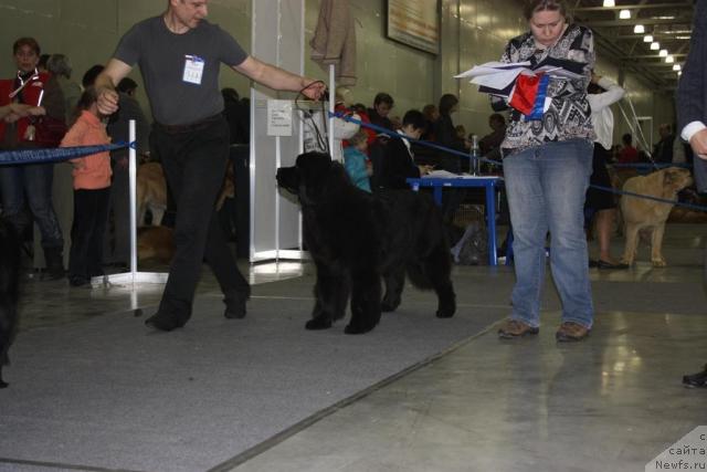 Фотография № 39801