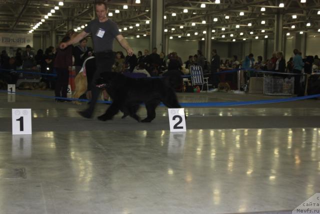 Фотография № 39802