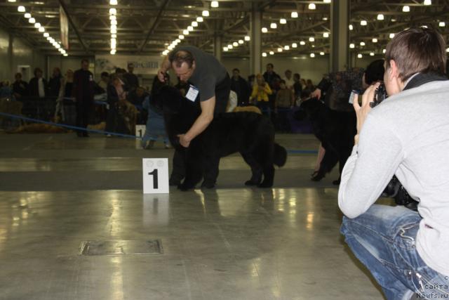 Фотография № 39803