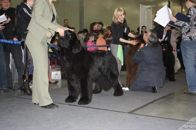 Фотография № 39806