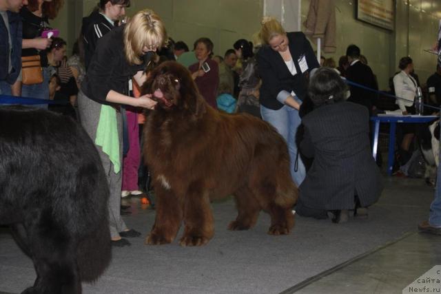 Фотография № 39807