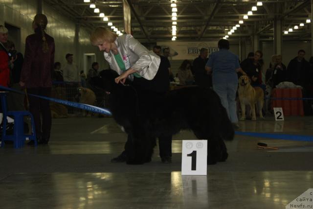 Фотография № 39809