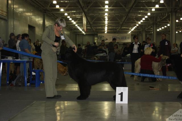 Фотография № 39813