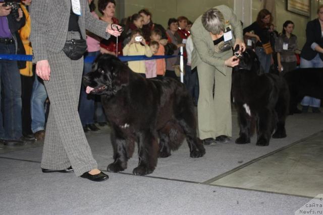 Фотография № 39815