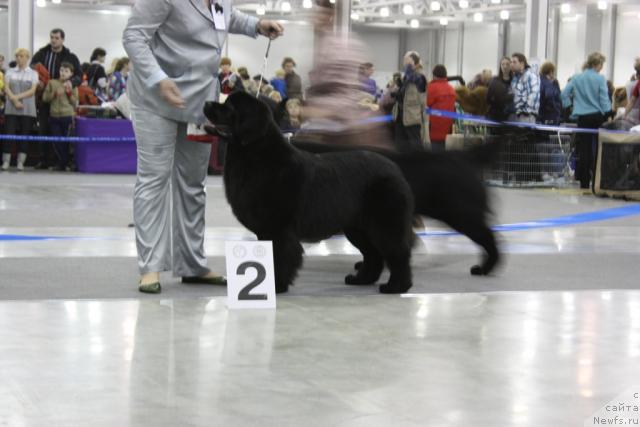 Фотография № 39821