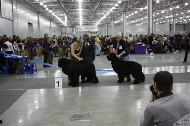 Фотография № 39822