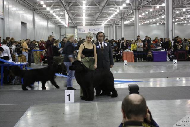 Фотография № 39823