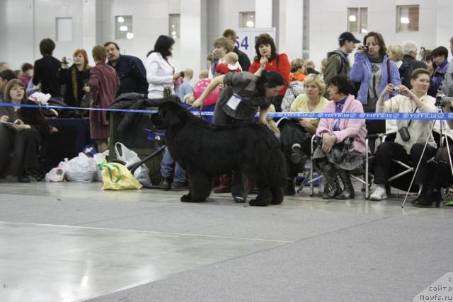 Фотография № 39825