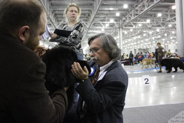 Фотография № 39826