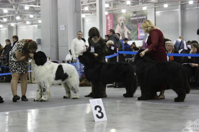 Фотография № 39830