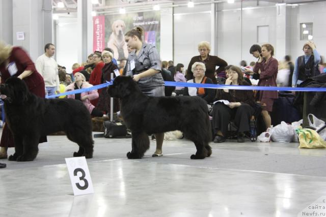 Фотография № 39831