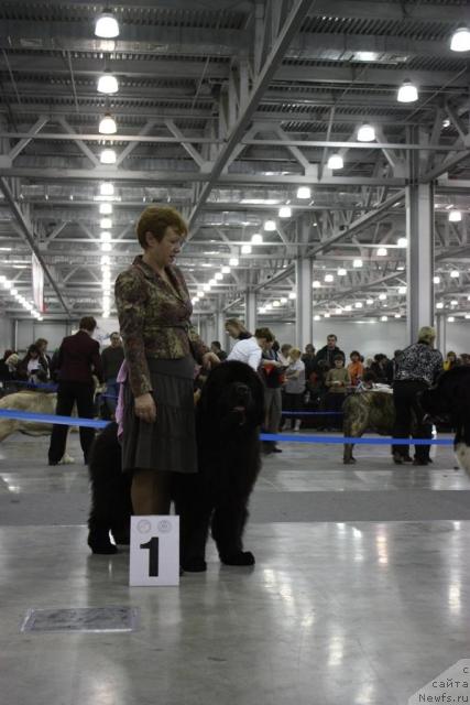 Фотография № 39832