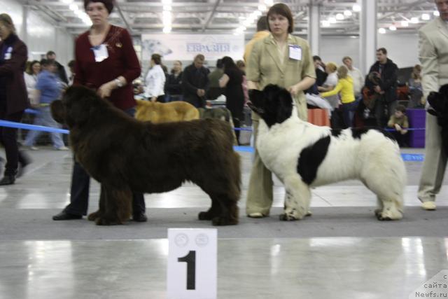 Фотография № 39841