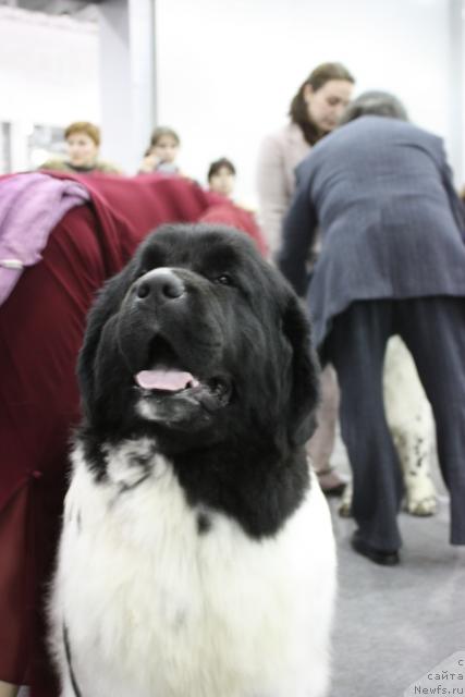 Фотография № 39846