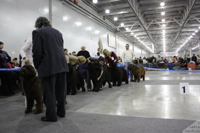 Фотография № 39851