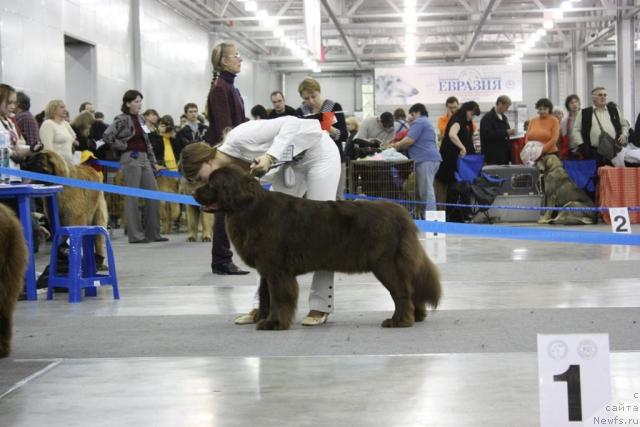 Фотография № 39853