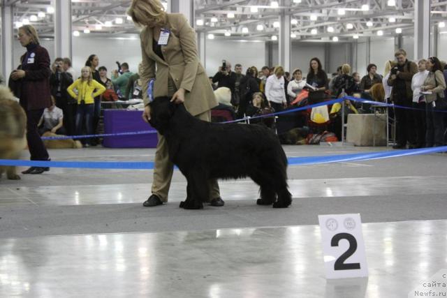 Фотография № 39854