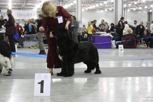 Фотография № 39857