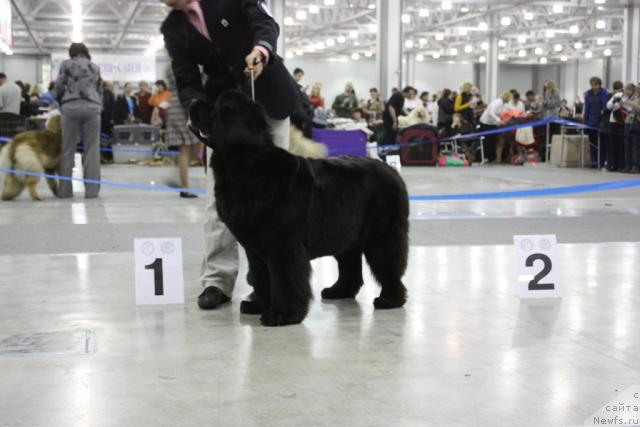 Фотография № 39860