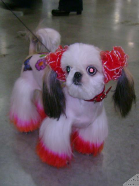 Фотография № 39866