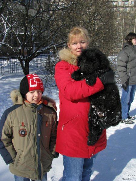 Фото: ньюфаундленд Фанньюф Уилгрэм Сэр, Лена, Даня