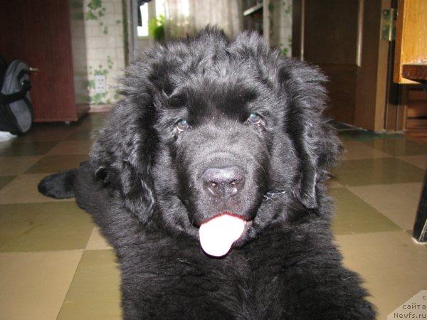 Фотография № 39881