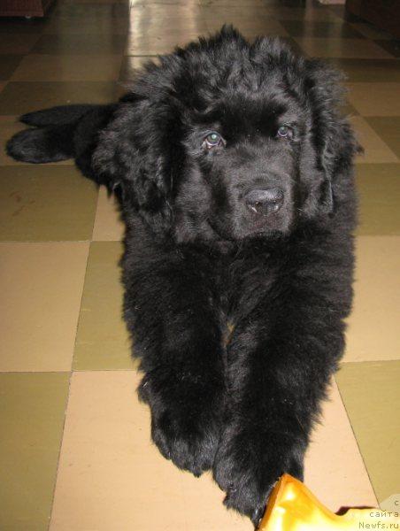 Фотография № 39887