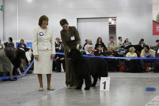 Фотография № 39898