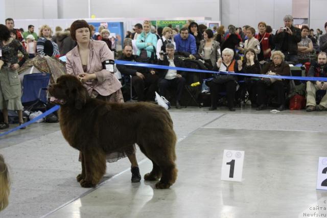 Фотография № 39900