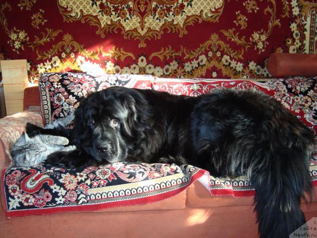 Фото: Елена Матюшкова