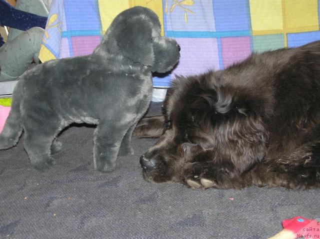 Фотография № 40045