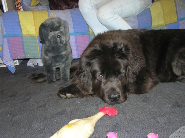 Фотография № 40046